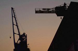 次世代シーケンス解析を賢く活用