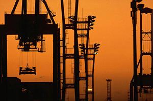 釣り愛好家必見！最新釣具とエギの魅力を徹底解説