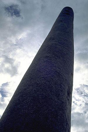 誂味のプロが徹底解説！料理をワンランクアップさせるシーズニング活用術